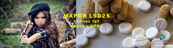 индика Абдулино