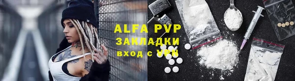крисы Абаза