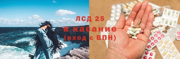 крисы Абаза