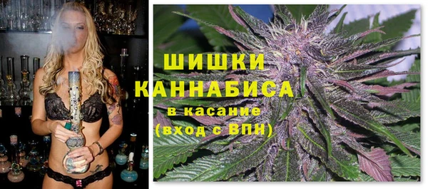 индика Абдулино