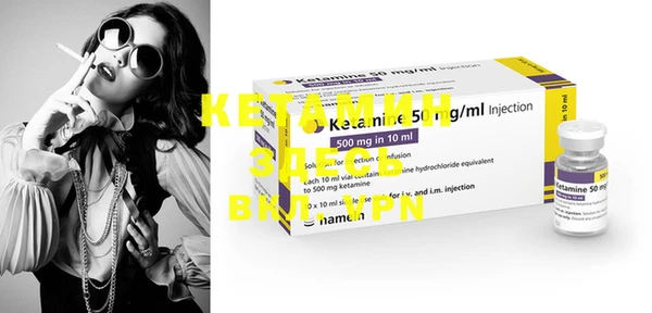 крисы Абаза
