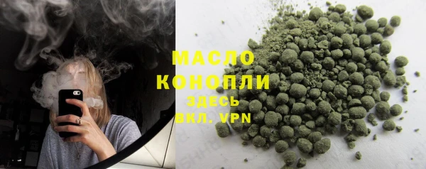 крисы Абаза