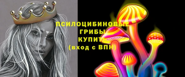 крисы Абаза