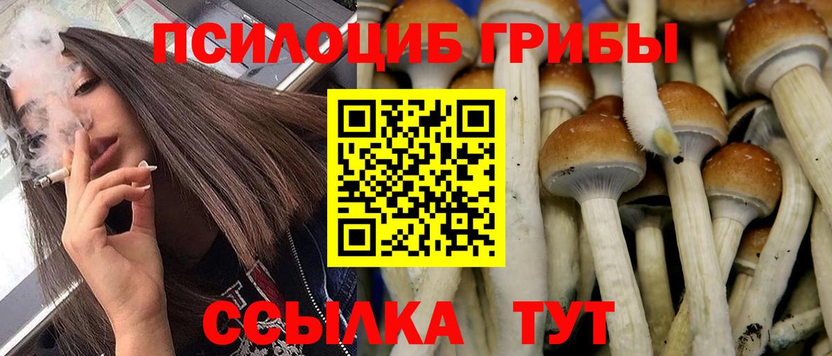 Галлюциногенные грибы Magic Shrooms  Вход с VPN  Галлюциногенные грибы Psilocybe  Шумерля 