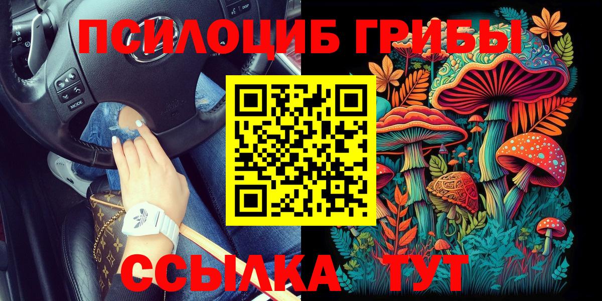 Псилоцибиновые грибы мицелий Шумерля